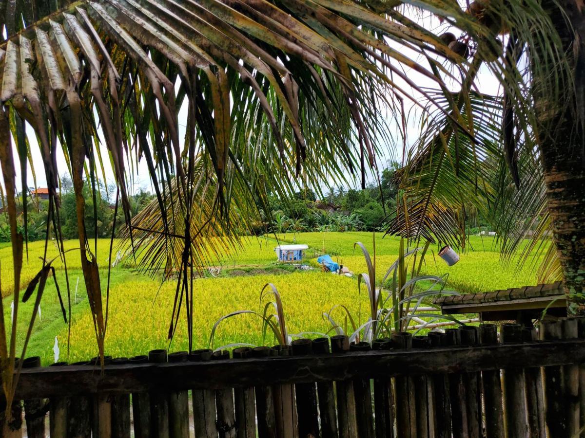 Kakau Villa 2 - Ubud Exterior foto